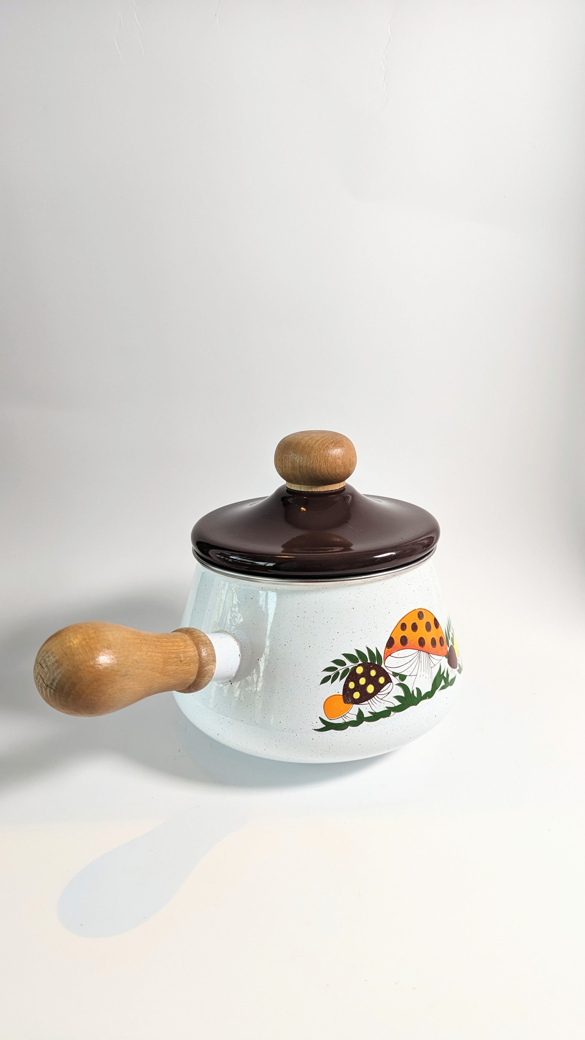 Vintage Mushroom Enamel Pot