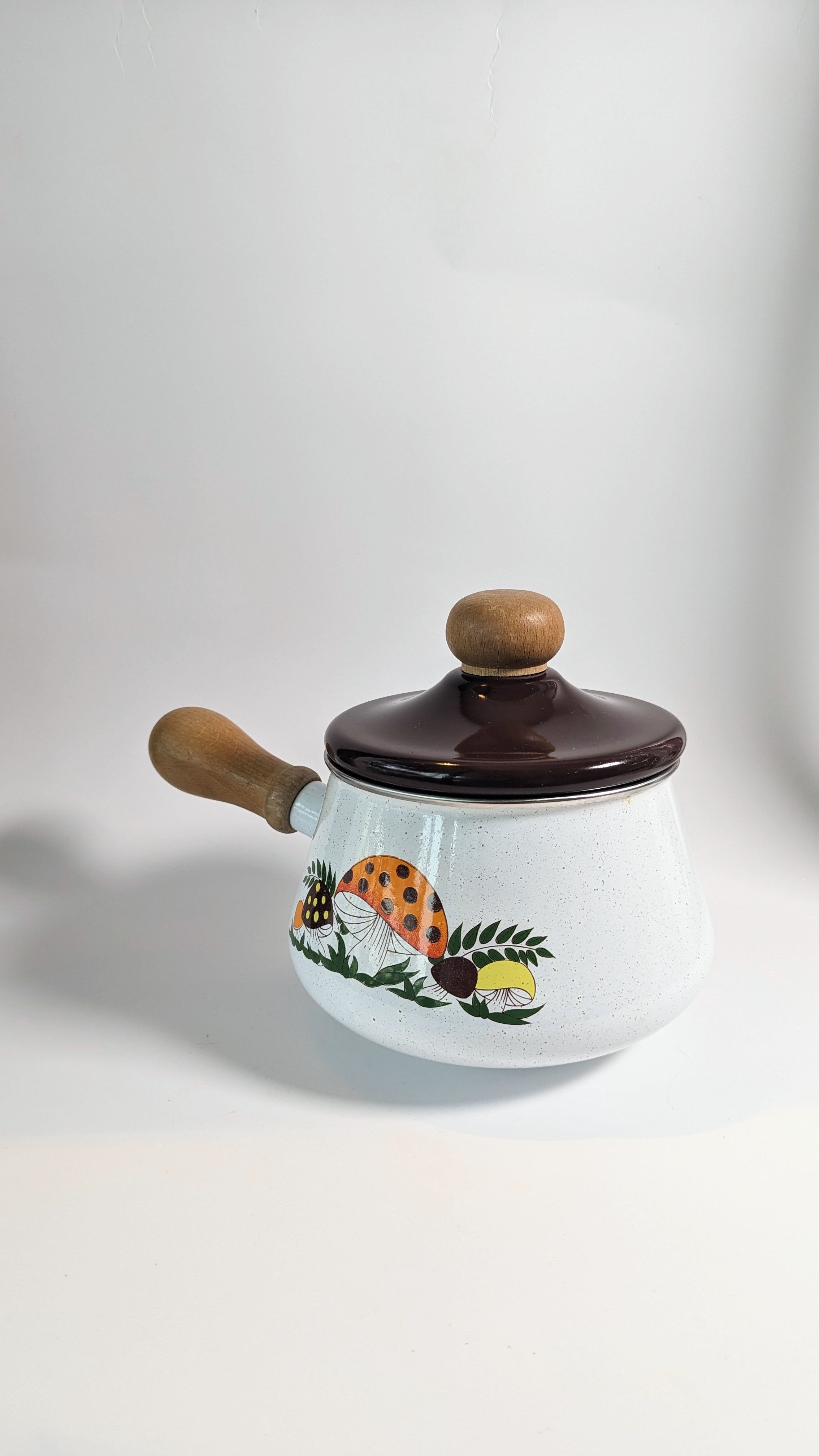 Vintage Mushroom Enamel Pot