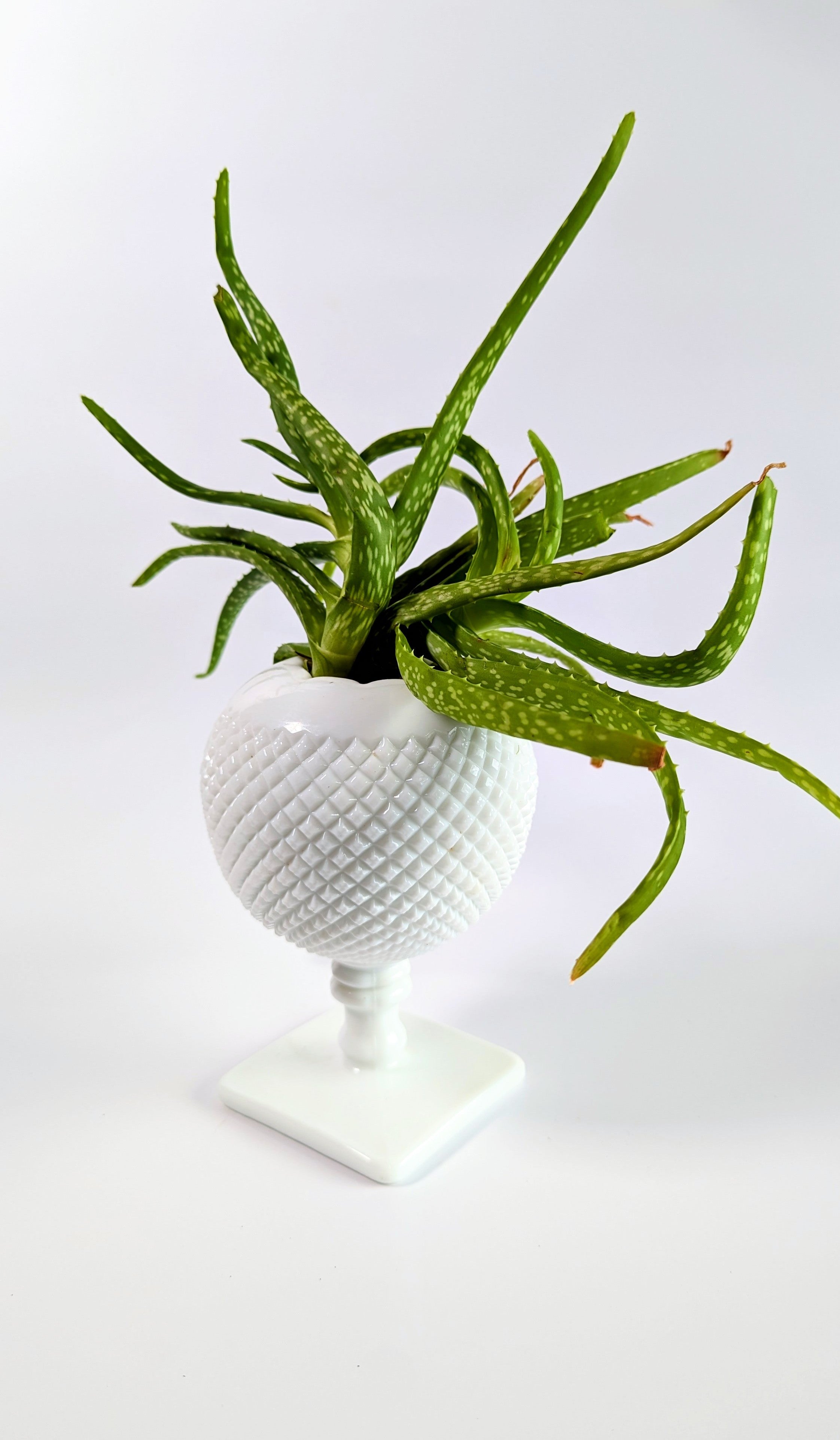 Vintage Milk Glass Ball Vase
