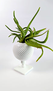 Vintage Milk Glass Ball Vase
