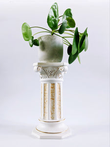 Column Plant/Candle Stand